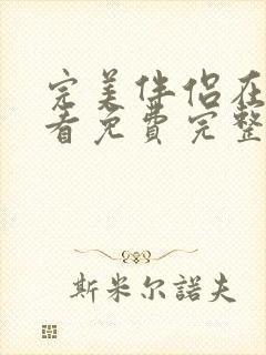 完美伴侣在线观看免费完整版高清