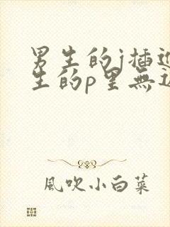 男生的j插进女生的p里无遮挡