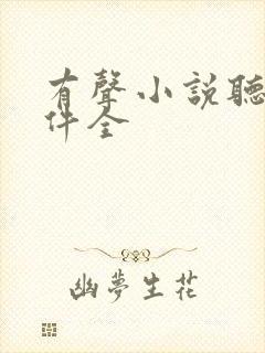 有声小说听书软件全封面