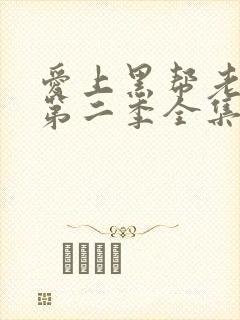 爱上黑帮老大的第二季全集免费观看下载封面