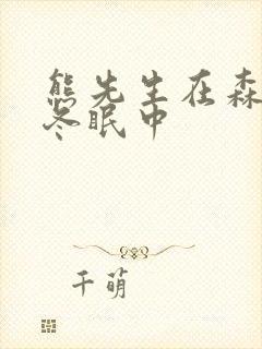 熊先生在森林里冬眠中