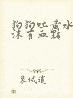 狗狗吐黄水带泡沫有血点封面