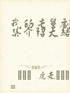 我的老舅剧情分集介绍大结局