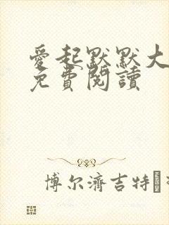 爱起默默大结局免费阅读