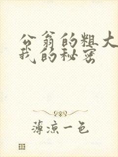 公翁的粗大放进我的秘密