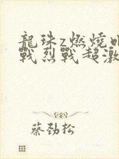 龙珠z燃烧吧热战烈战超激战国语版