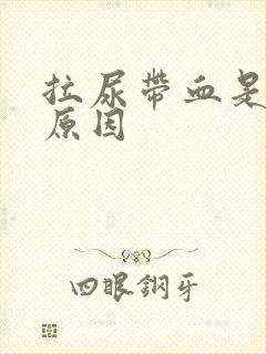 拉尿带血是什么原因