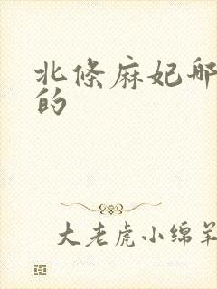 北条麻妃哪一年的