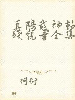 真阳武神动漫在线观看全集免费播放封面