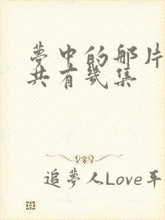 梦中的那片海一共有几集