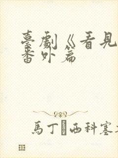 台剧《看见爱》番外篇