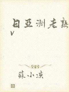 日亚洲老熟女av