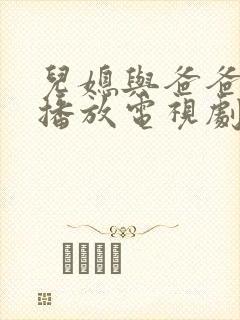 儿媳与爸爸免费播放电视剧封面