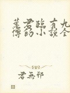 叶君临有九个师傅的小说全集