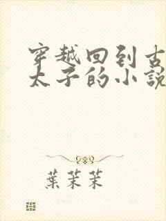 穿越回到古代当太子的小说