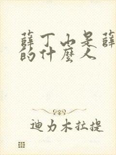 薛丁山是薛仁贵的什么人