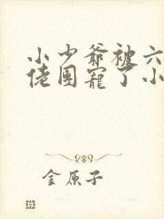 小少爷被六个大佬团宠了小说