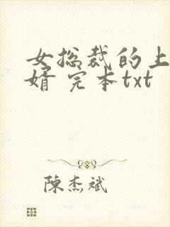 女总裁的上门龙婿 完本txt