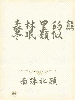 森林里的熊先生冬眠类似