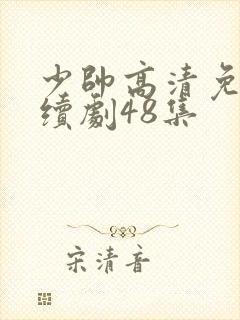 少帅高清免费连续剧48集封面