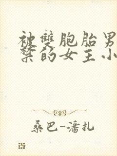 被双胞胎男主囚禁的女主小说