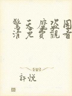 惊天魔盗团4高清免费观看