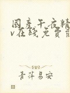 国产午夜精品av在线免费观看