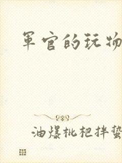 军官的玩物