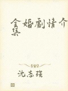 金婚剧情介绍分集封面