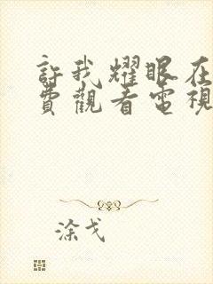 许我耀眼在线免费观看电视剧