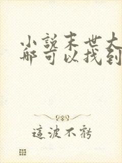 小说末世大回炉哪可以找到