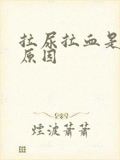 拉尿拉血是什么原因