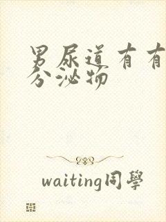 男尿道有有白色分泌物