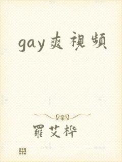 gay爽视频