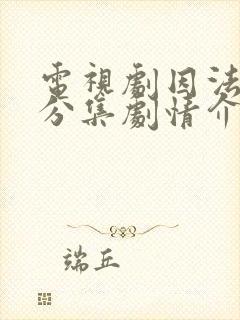 电视剧因法之名分集剧情介绍