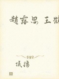 赵露思 王鹤棣封面