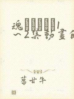 魂インサート1～2集动画的免费观看