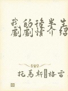 我的后半生电视剧剧情介绍封面