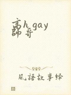 高h gay 帅哥