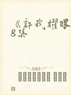 《许我耀眼》28集封面