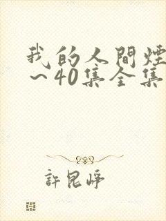 我的人间烟火1～40集全集免费观看