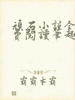 顽石小说全文免费阅读笔趣阁