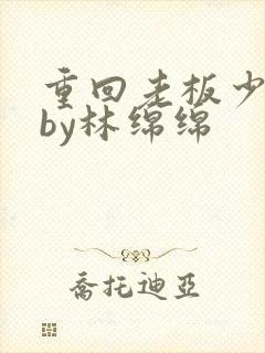 重回老板少年时by林绵绵