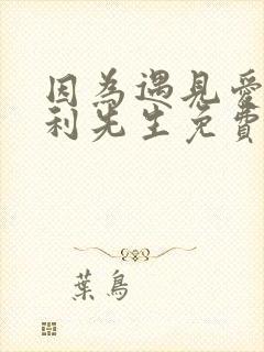 因为遇见爱情的利先生免费观看