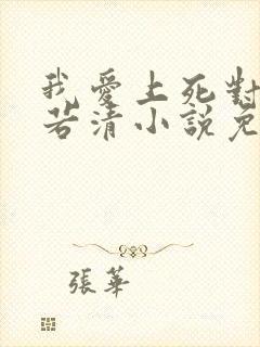 我爱上死对头裴若清小说免费阅读最