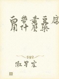 白带黄豆腐渣状用什么药封面