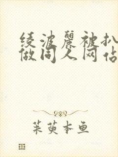 绫波丽被扒开腿做同人网站