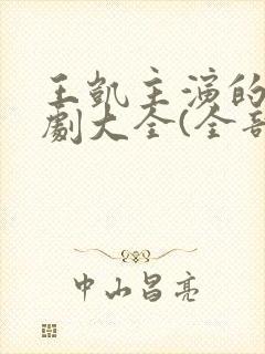 王凯主演的电视剧大全(全部)