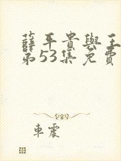 薛平贵与王宝钏第53集免费观看