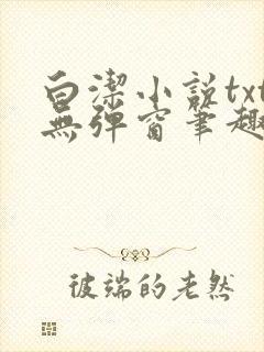 白洁小说txt无弹窗笔趣阁